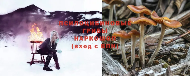 Галлюциногенные грибы MAGIC MUSHROOMS  как найти   Воркута 