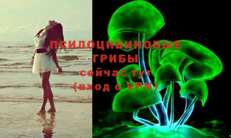 Псилоцибиновые грибы Psilocybe Воркута